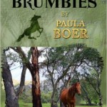 The Brumbies series, Paula Boer